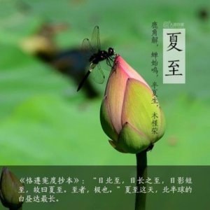 ​女生适合发朋友圈的干净句子