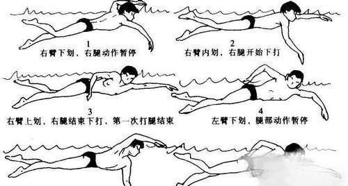 如何学游泳，如何学习游泳？图4