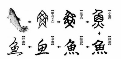 ​文字的演变过程，文字的演变过程？