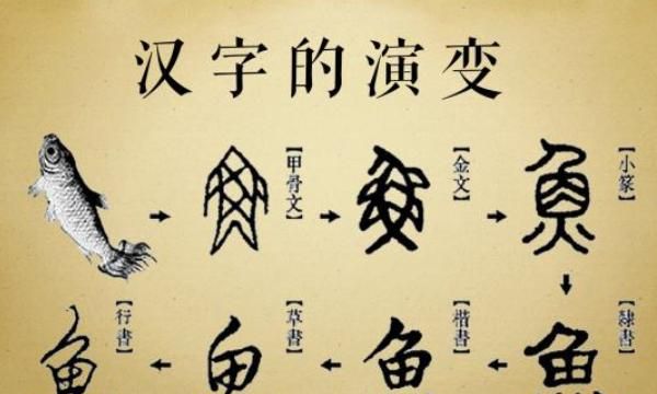 文字的演变过程，文字的演变过程？图7