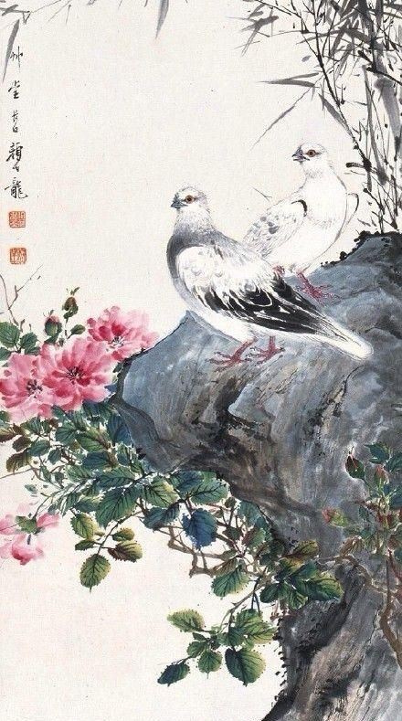 和平鸽的作者是谁