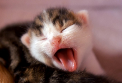 好听的公司名字免费起名大全1450个