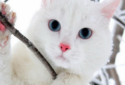 不要钱取名字大全免费1500个