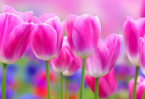 1713344789134779.png image.png