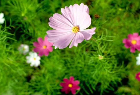 1713345788126513.png image.png
