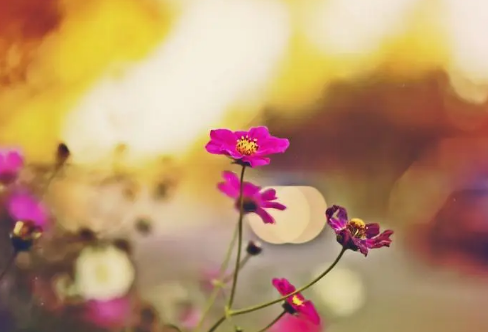 1713345955120118.png image.png