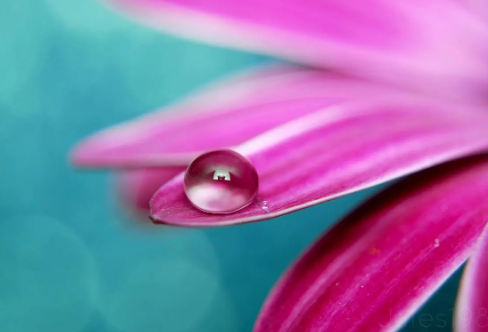 1713346121549644.png image.png