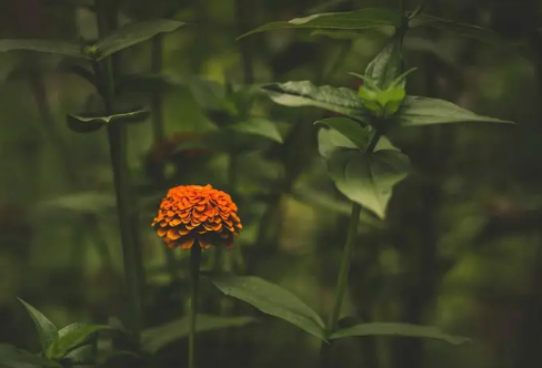 1713347619107850.png image.png