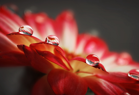 1713348120104661.png image.png