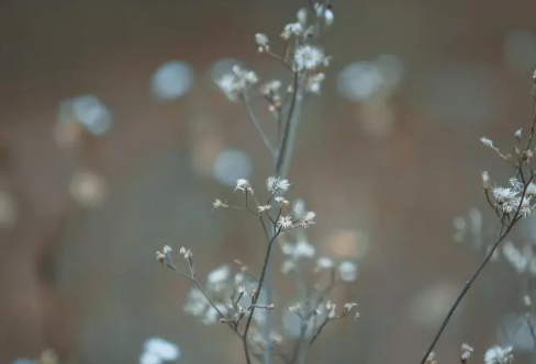 1713348952139104.png image.png