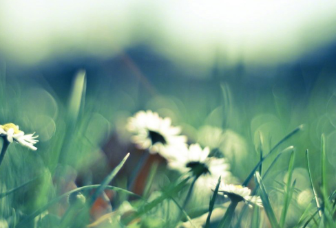 1713349452612170.png image.png