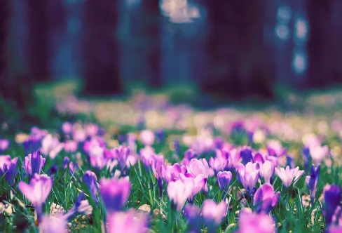 1713350118409963.png image.png