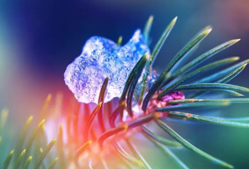 1713350451110849.png image.png