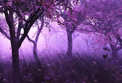1713350617709034.png image.png