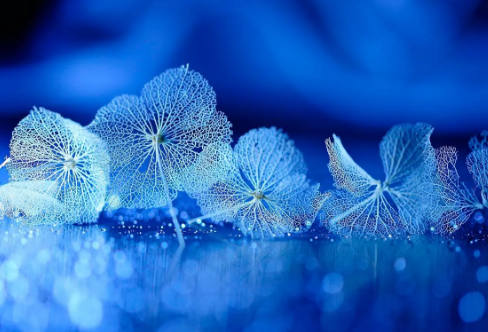 1713351117253285.png image.png