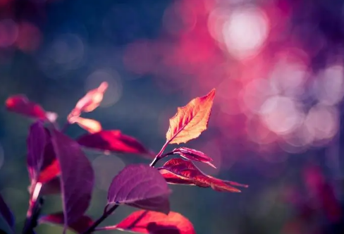 1713351450127133.png image.png