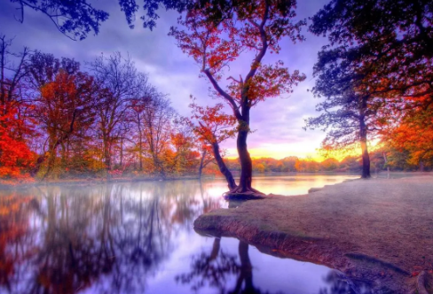 1713451598913392.png image.png